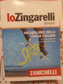 Dizionario Zanichelli