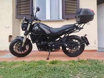 Benelli leoncino 500 