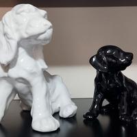 Coppia di Cocker Spaniel, Italia, ca. 1960-1980