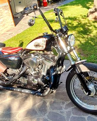 Harley-Davidson Sportster XL883Low Special Chopper