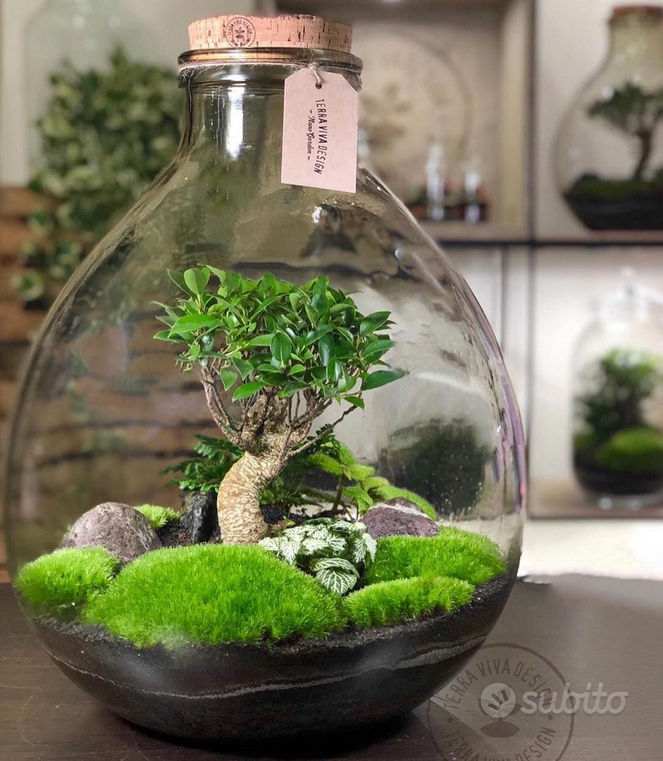 Nebulizzatore in vetro per piante - Giardino e Fai da te In vendita a  Ravenna