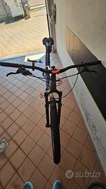 MTB OLMO