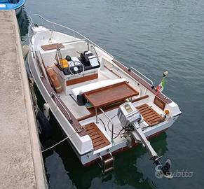 Barca 5,5 m con cuscinetti, no patente, Evinrude