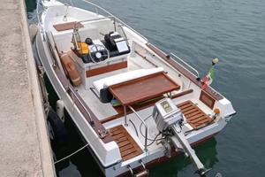 Barca 5,5 m con cuscinetti, no patente, Evinrude