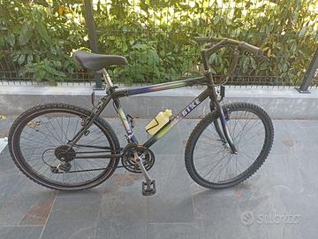 Biciclette (singolarmente o entrambe)