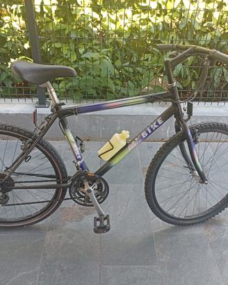 Biciclette (singolarmente o entrambe)
