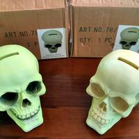 Teschio Salvadanaio di Gesso