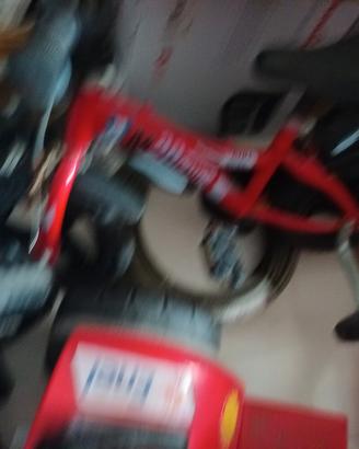 altalena e bici 