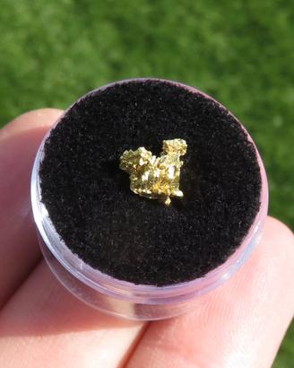 Pepita d'Oro Naturale Cristallizzata – Nevada