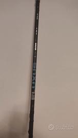 canna bolognese 5m