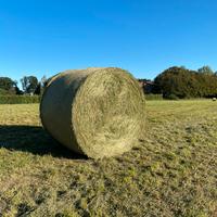 Fieno di primo taglio in balloni