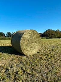Fieno di primo taglio in balloni