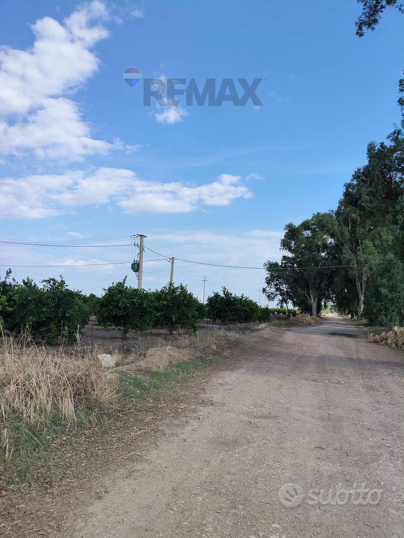 Terreno - Ramacca - Vista 2