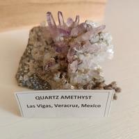 drusa di Ametista Veracruz 