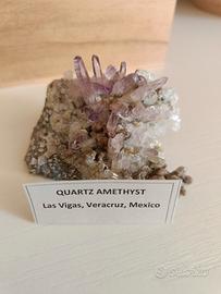 drusa di Ametista Veracruz 