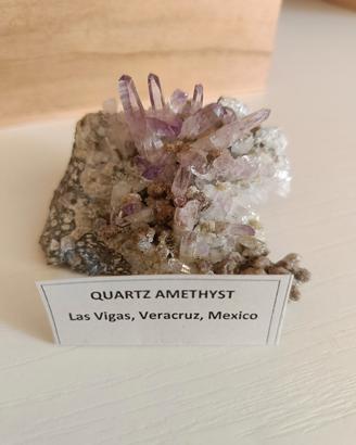 drusa di Ametista Veracruz 