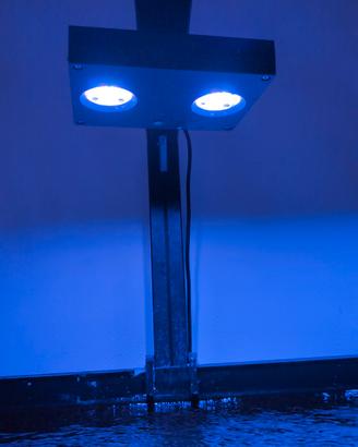 luci acquario 