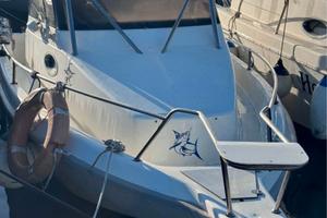 Barca Petteruti 115 cv SUZUKY