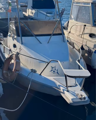 Barca Petteruti 115 cv SUZUKY