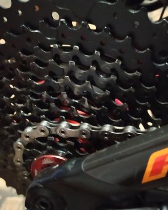 MTB Specialized