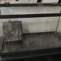 Acquario askoll tenerif 88 130 litri