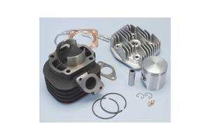 Gruppo termico Polini 166.0108 D.47 Malaguti F12