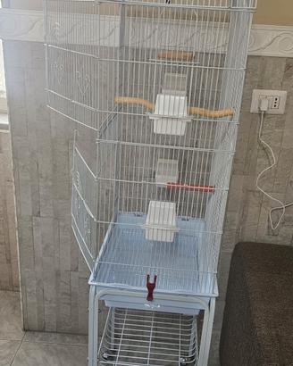 gabbia per uccelli o papagalli