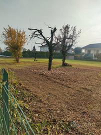 Terreno fabbricabile