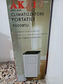 condizionatore portatile 