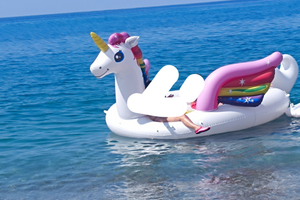 Gommone unicorno