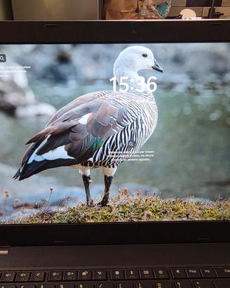 PC Portatile Lenovo L590