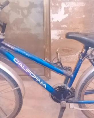 Mountain bike blu donna