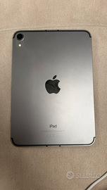 Ipad Mini Cellular 256 GB