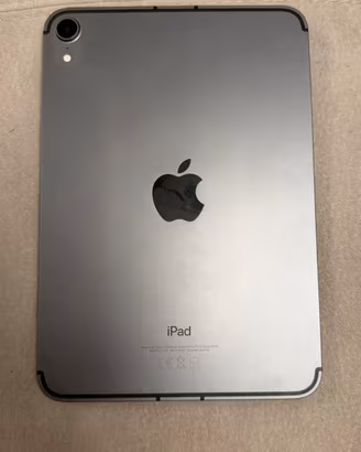 Ipad Mini Cellular 256 GB