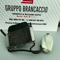 Radiatore completo Piaggio Beverly 125 tourer