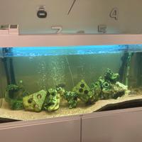 Acquario ciano 120