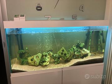 Acquario ciano 120