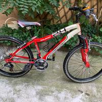 Bicicletta MTB Lombardo Kalahoo Adventure 24