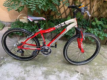 Bicicletta MTB Lombardo Kalahoo Adventure 24