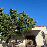 Villetta indipendente a Casalabate