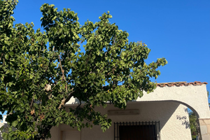 Villetta indipendente a Casalabate