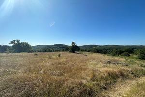 Terreno Agricolo Orte [Cod. rif 3081462VRG]