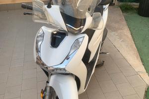 sh125 hanno 2020