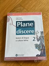 PLANE DISCERE 2