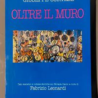 Libro Novara Calcio: "Oltre il Muro"