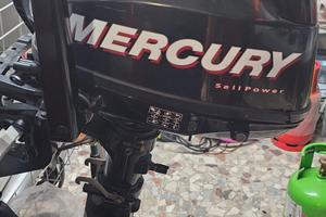 Mercury 5 Cv gambo lungo