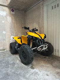 Can am Renegade