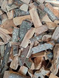 Legna da ardere secca 