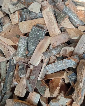 Legna da ardere secca 