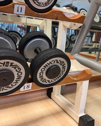 set manubri technogym